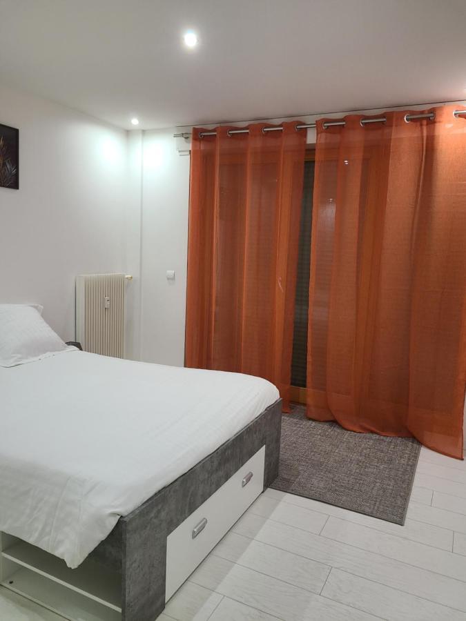 Appartement Meuble Aux Portes De Geneve آنماس المظهر الخارجي الصورة